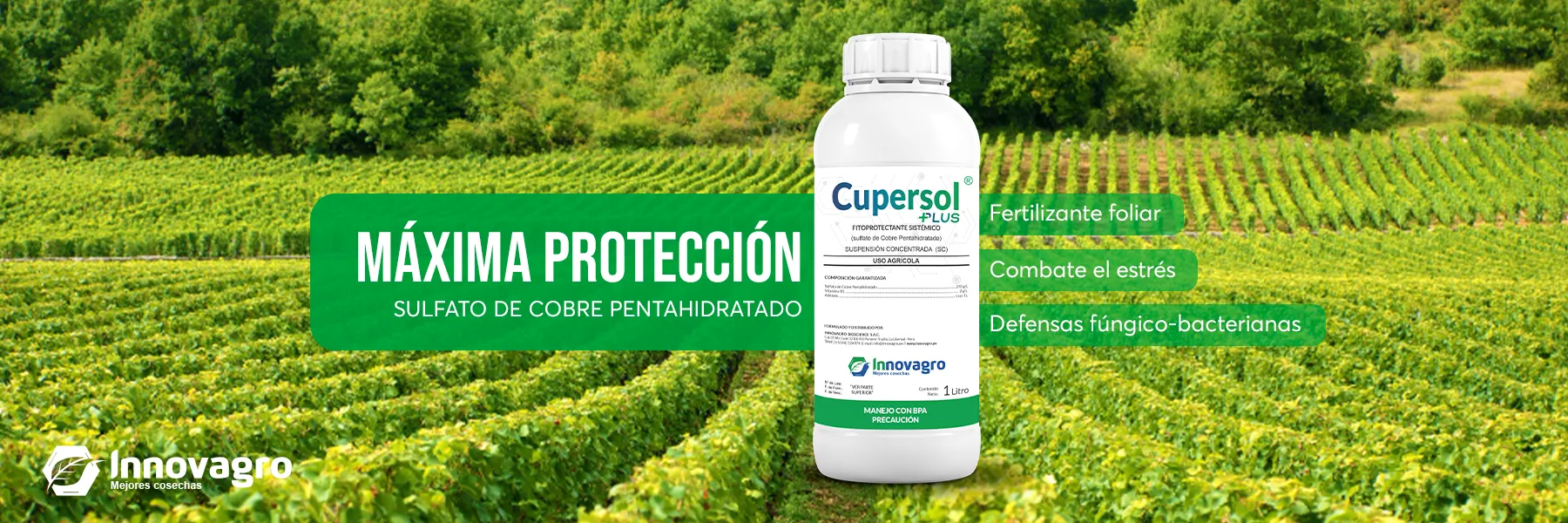 CUPERSOL+PLUS-escritorio