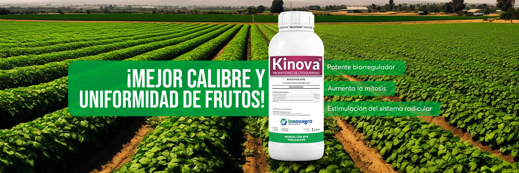 KINOVA