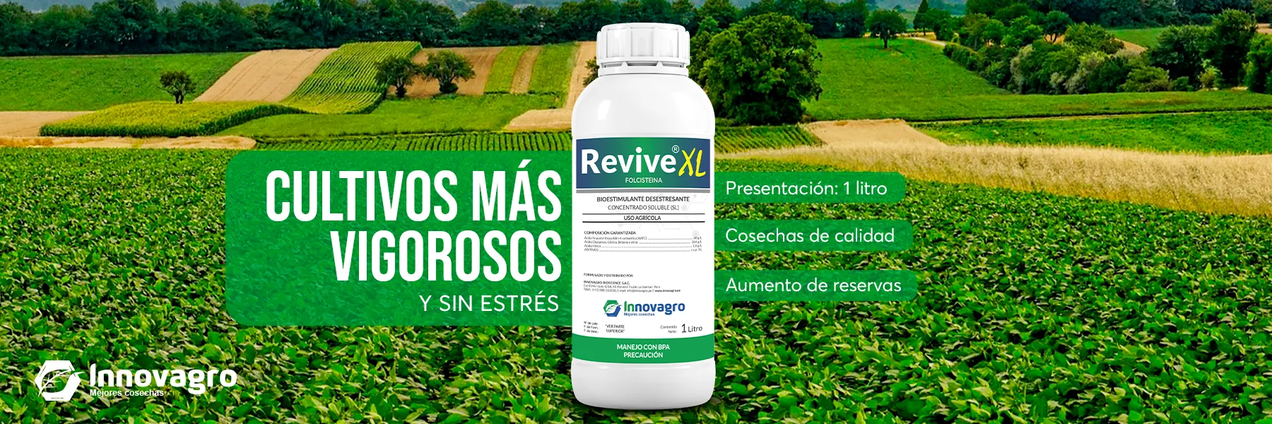 REVIVEXL-BANNER