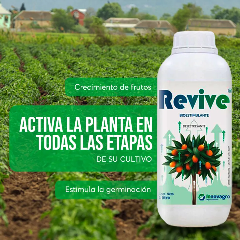 REVIVIE-MOVIL