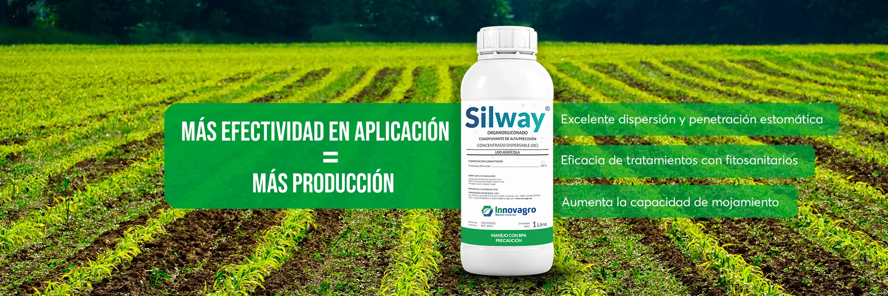 SILWAY