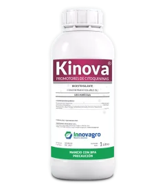 citoquinina