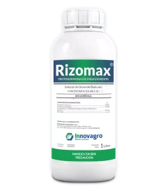Enraizador